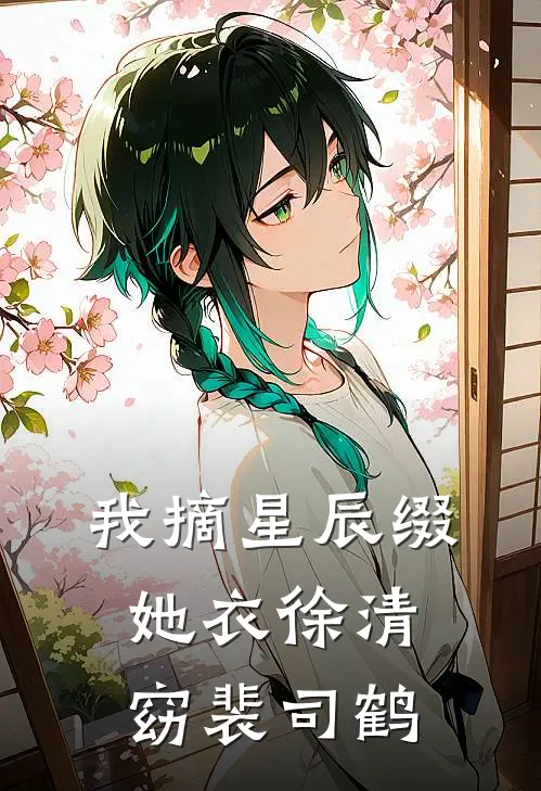 我摘星辰缀她衣徐清窈裴司鹤