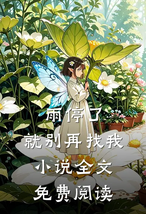 雨停了，就别再找我小说全文免费阅读