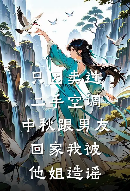 只因卖过二手空调，中秋跟男友回家我被他姐造谣