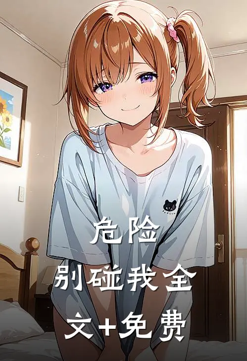 危险，别碰我全文+免费