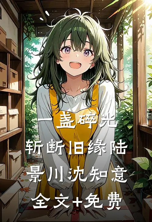 一盏碎光，斩断旧缘陆景川沈知意全文+免费