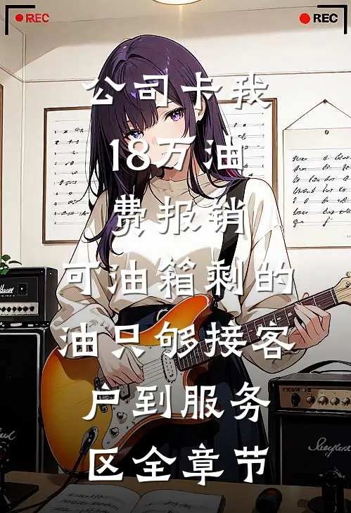 公司卡我18万油费报销，可油箱剩的油只够接客户到服务区全章节