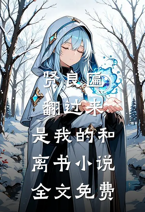 贤良匾翻过来，是我的和离书小说全文免费