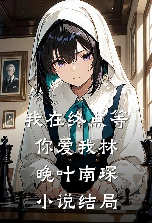 我在终点等你爱我林晚叶南琛小说结局