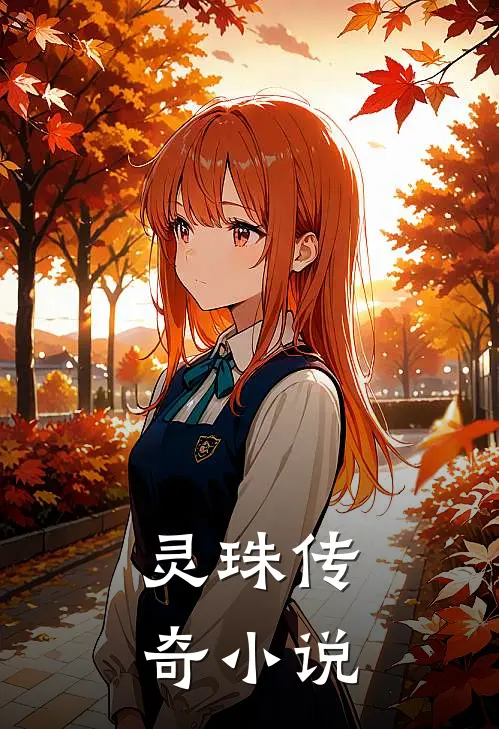 《灵珠传奇》小说
