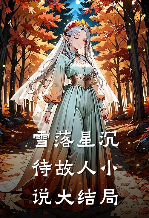 雪落星沉待故人小说大结局
