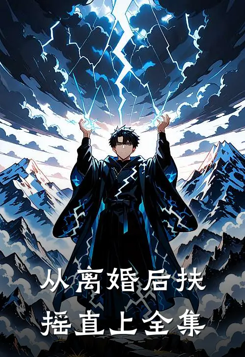 从离婚后扶摇直上全集
