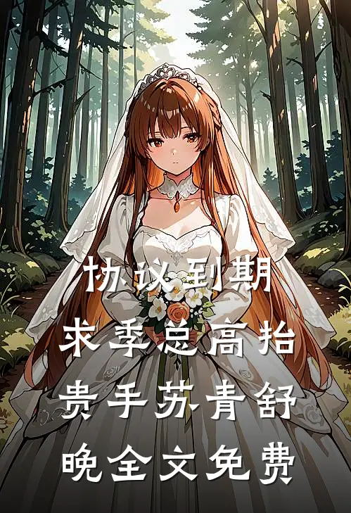 协议到期，求季总高抬贵手苏青舒晚全文免费