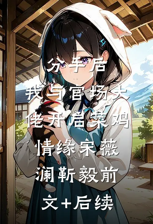 分手后，我与官场大佬开启菜鸡情缘宋薇澜靳毅前文+后续