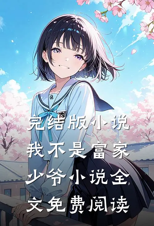 完结版小说我不是富家少爷小说全文免费阅读