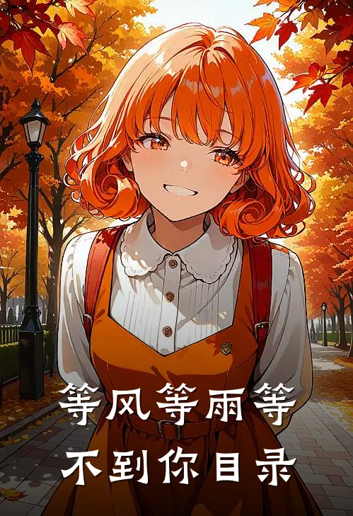 等风等雨等不到你目录