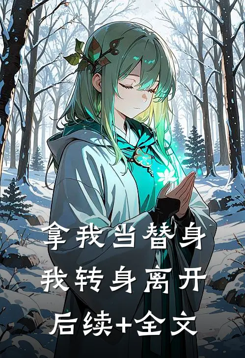 拿我当替身，我转身离开后续+全文