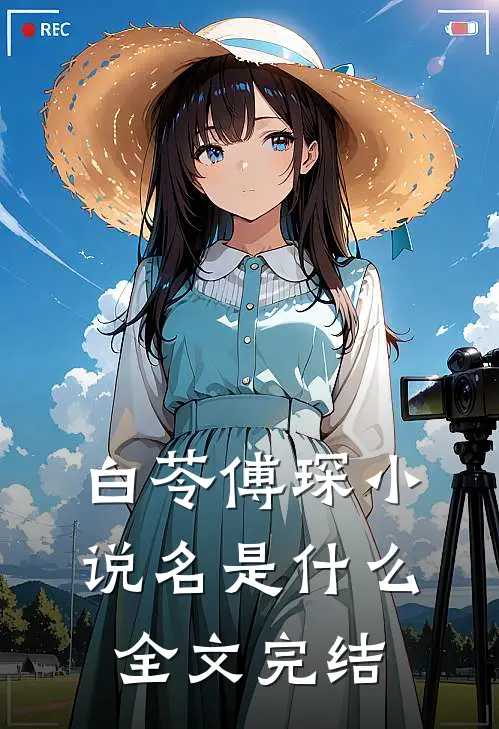 白苓傅琛小说名是什么全文完结