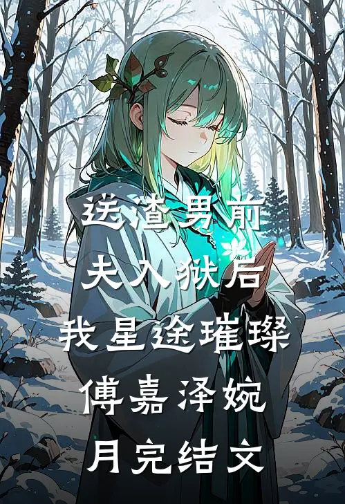 送渣男前夫入狱后，我星途璀璨傅嘉泽婉月完结文