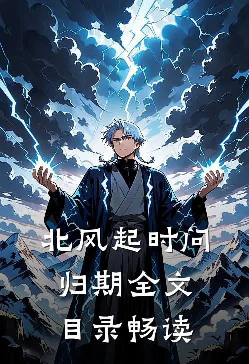 北风起时问归期全文目录畅读