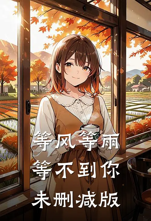等风等雨等不到你未删减版