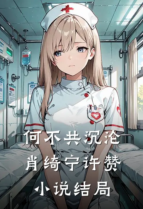 何不共沉沦肖绮宁许赞小说结局