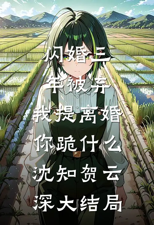 闪婚三年被弃，我提离婚你跪什么沈知贺云深大结局