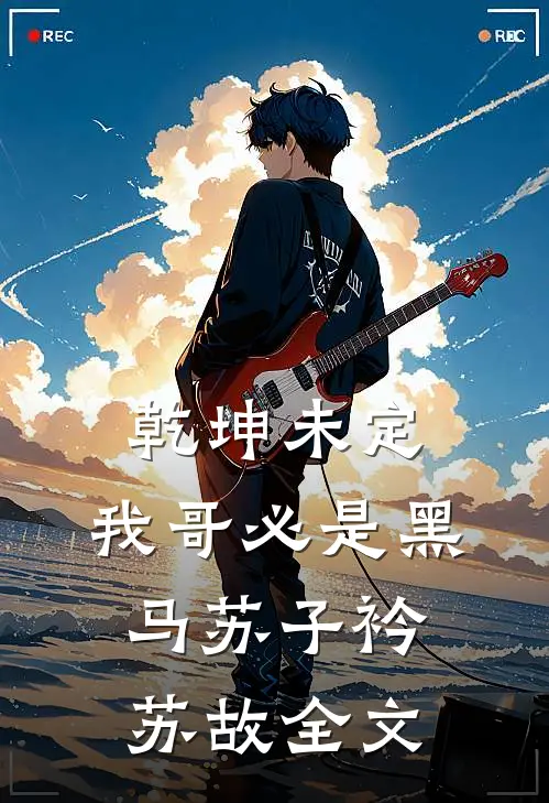 乾坤未定，我哥必是黑马苏子衿苏故全文