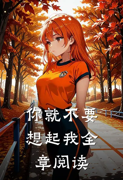 你就不要想起我全章阅读