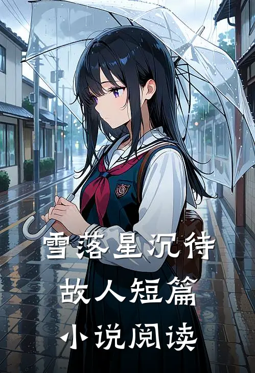 雪落星沉待故人短篇小说阅读