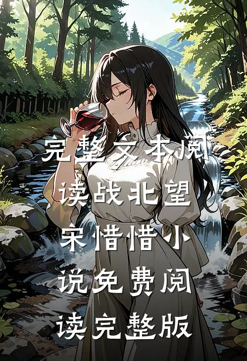 完整文本阅读战北望宋惜惜小说免费阅读完整版