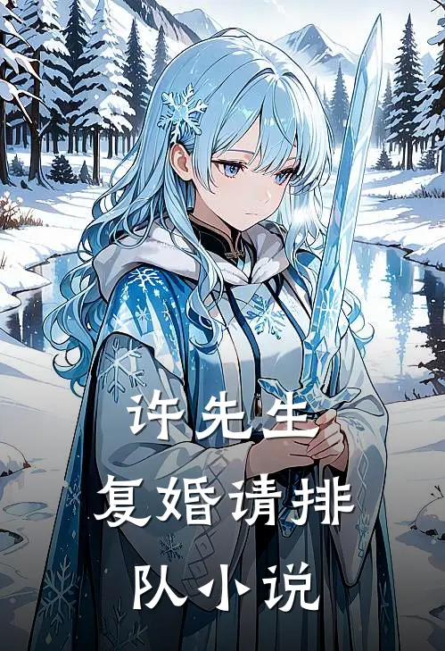 许先生，复婚请排队小说