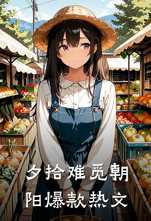 夕拾难觅朝阳爆款热文