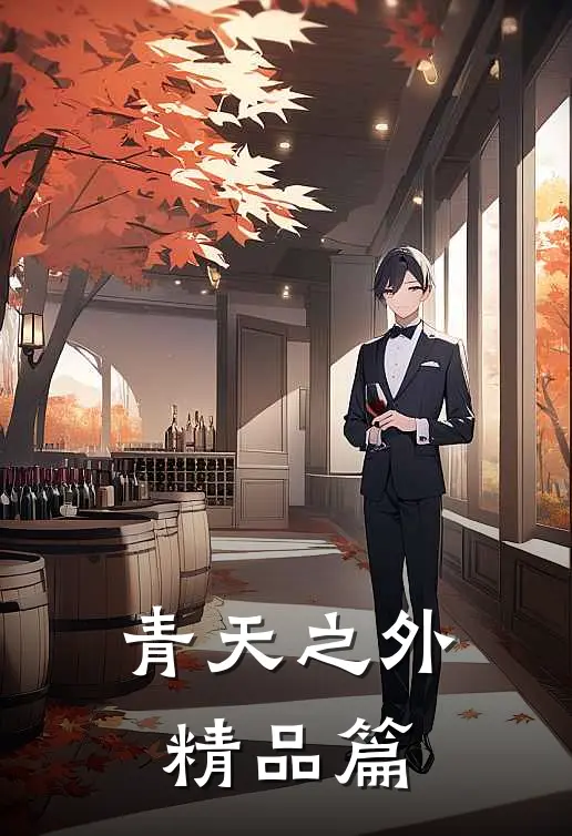 青天之外精品篇